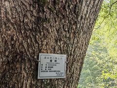 -塔川景区