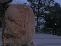 -铁山坪森林公园