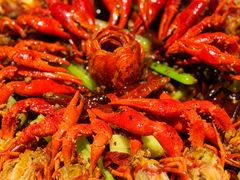 -红盔甲·小龙虾(人民广场店)