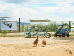 -野鸭湖国家湿地公园