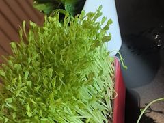 -番食园鲜食火锅(高新店)