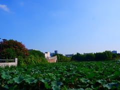 -江南大学(蠡湖校区)