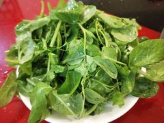 -花水湾红太阳牛肉汤锅