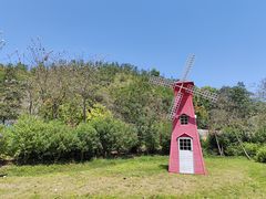 -广州白江湖森林公园