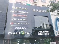 -道路口单车爱瓦士dahon大行