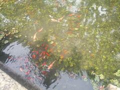 -无锡惠山寺