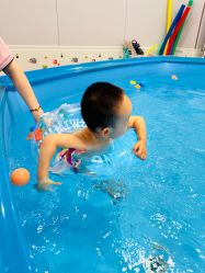 -海豹航航水育游泳中心(芳园里店)