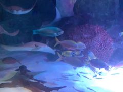 -沈阳海洋探索中心