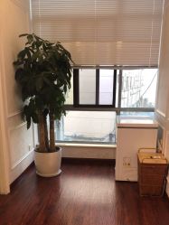 -武汉五洲整形外科医院