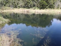 -海南热带雨林国家公园吊罗山景区