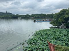 -湖畔居茶楼(湖滨店)