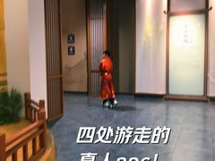 -四川宋瓷博物馆