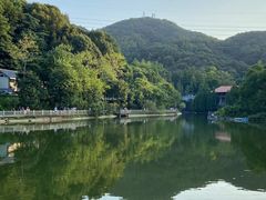 -广州市帽峰山景区