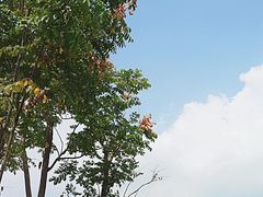 -南湖湿地公园