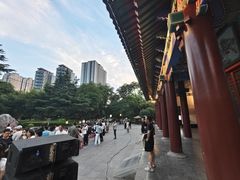 -渭滨公园