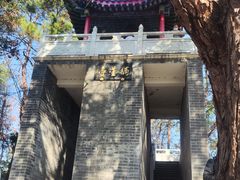 -青龙山国家森林公园
