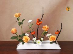 -梵花教室(壹品广场店)