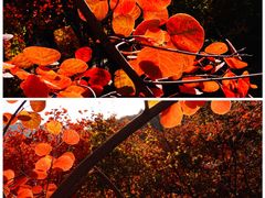 -周口店坡峰岭风景区