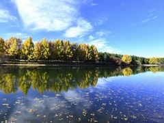 -塞罕坝国家级自然保护区