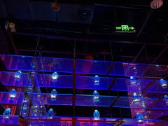 -音乐房子(鎏嘉码头店)