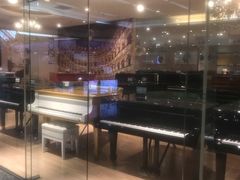 -柏斯音乐艺术中心·钢琴·吉他(世纪金源店)