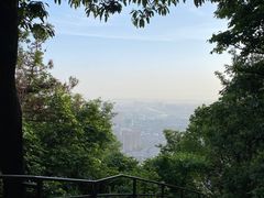 -惠山国家森林公园