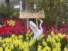 -福田红树林生态公园