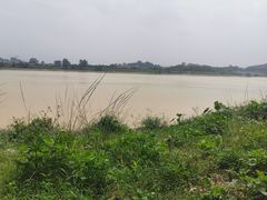 -鹤之洲湿地公园