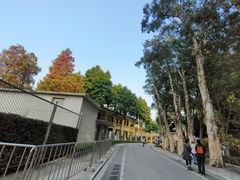 -长洲岛