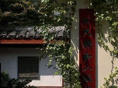 -松云泽