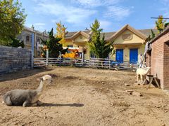 -清风小镇闯关东影视基地