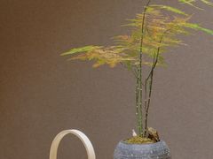 -左悦·艾灸调理·推拿按摩·精油SPA(卓悦汇店)