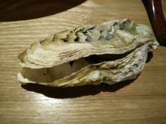 -大连路6号好酒不见