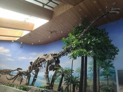 -延庆地质公园博物馆