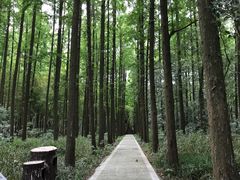 -同里国家湿地公园