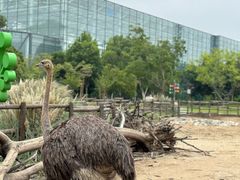 -祥源·阜阳生态乐园