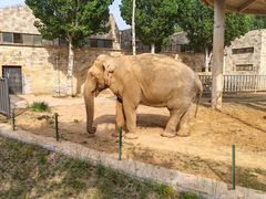 -石家庄市动物园