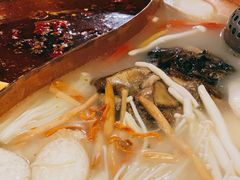 野生菌牦牛肉锅底-阿西土陶牦牛汤锅