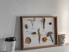 -red donkey coffee