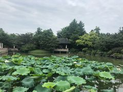 景观位-杭州西子湖四季酒店·金沙厅