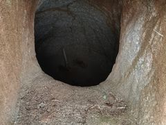 -紫鹊界梯田景区