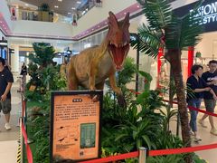 -宁波杉井奥特莱斯广场