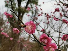 -广富林郊野公园