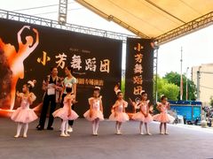 -小芳舞蹈团·少儿舞蹈·中国舞(龙江校区)