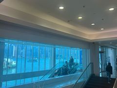 -海港城