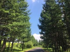 -塞罕坝国家级自然保护区