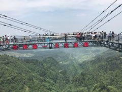 -梦幻奥陶纪景区