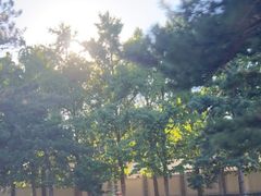 -钓鱼台国宾馆