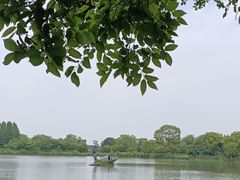 -苏州太湖国家湿地公园