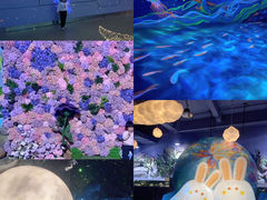 -顺德南宏海立方海洋公园